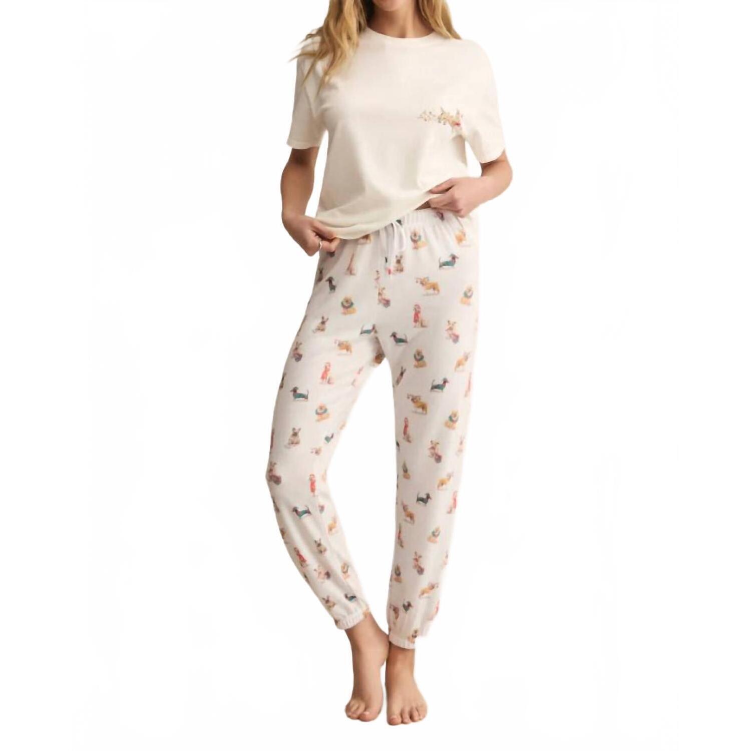 New Z Supply Classic Pup Jogger In Multi